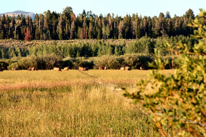 Click to see next picture