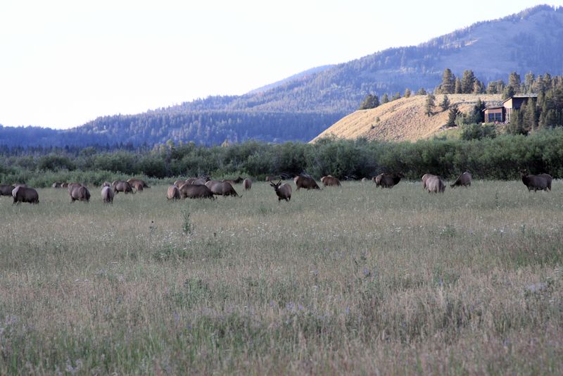 Click to see next picture