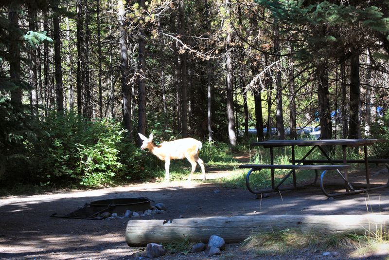 Click to see next picture