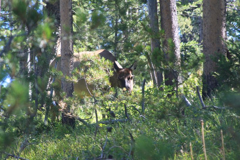 Click to see next picture