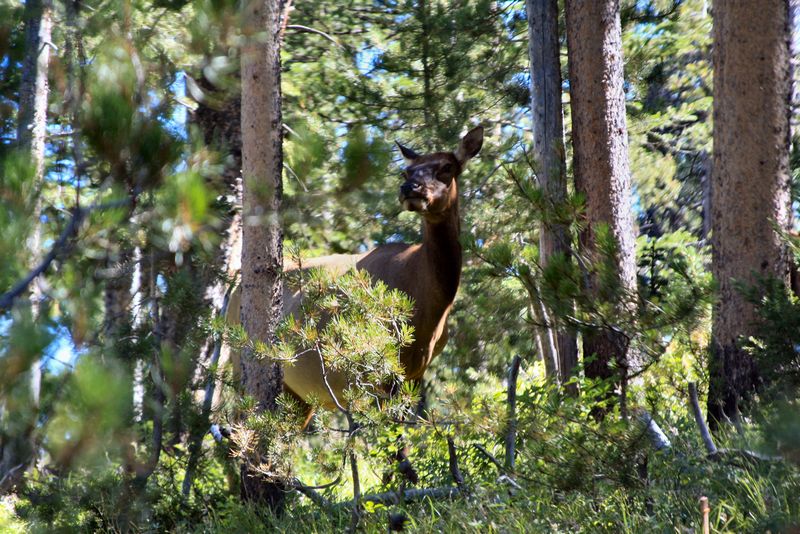 Click to see next picture