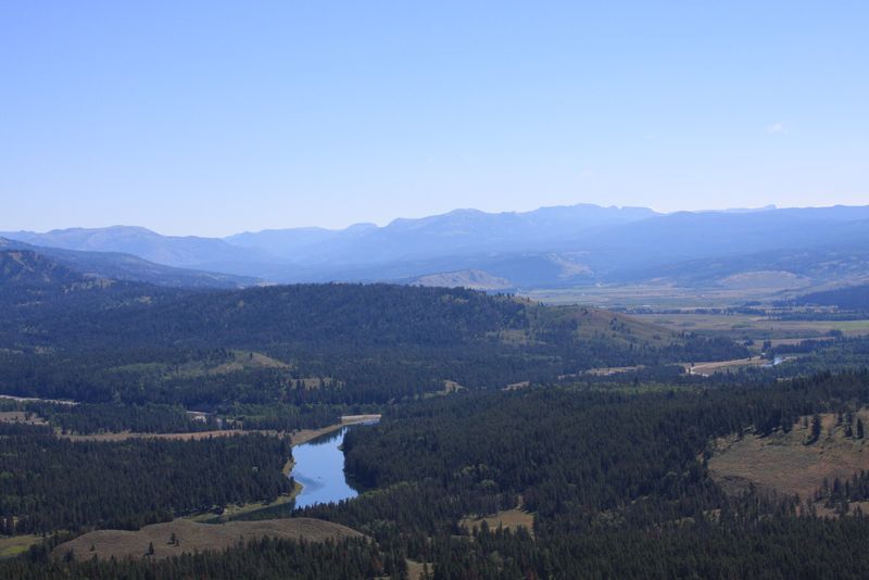 Click to see next picture