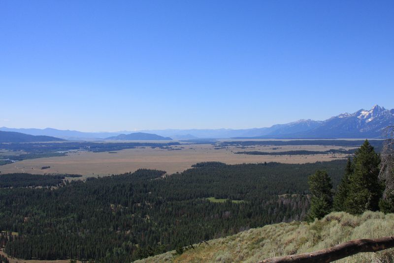 Click to see next picture