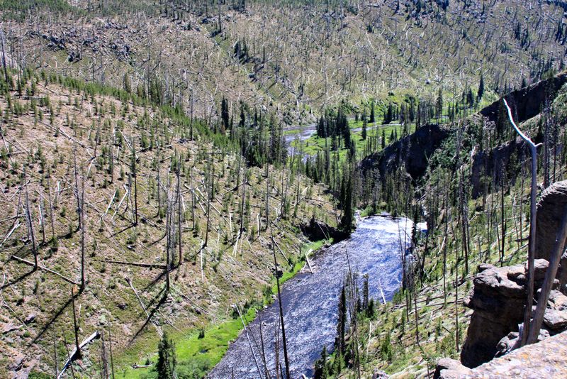 Click to see next picture