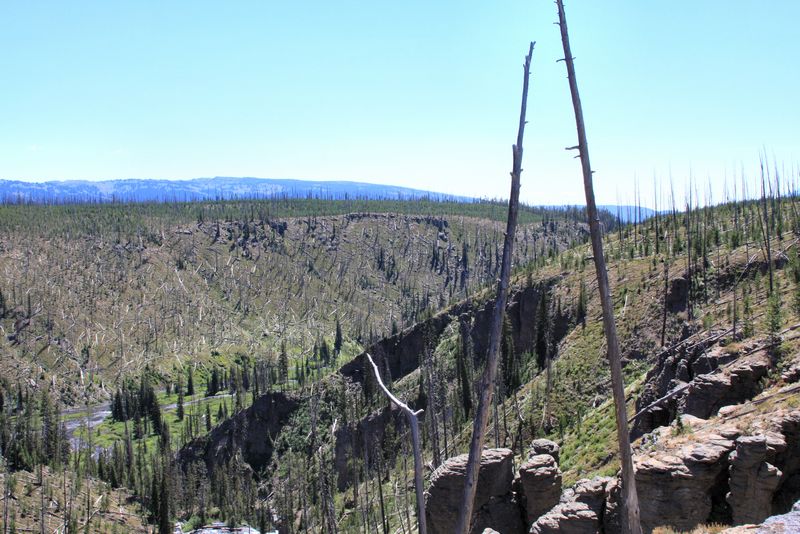 Click to see next picture