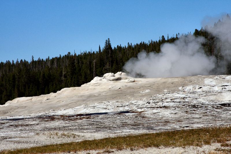 Click to see next picture