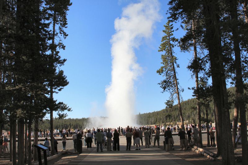 Click to see next picture