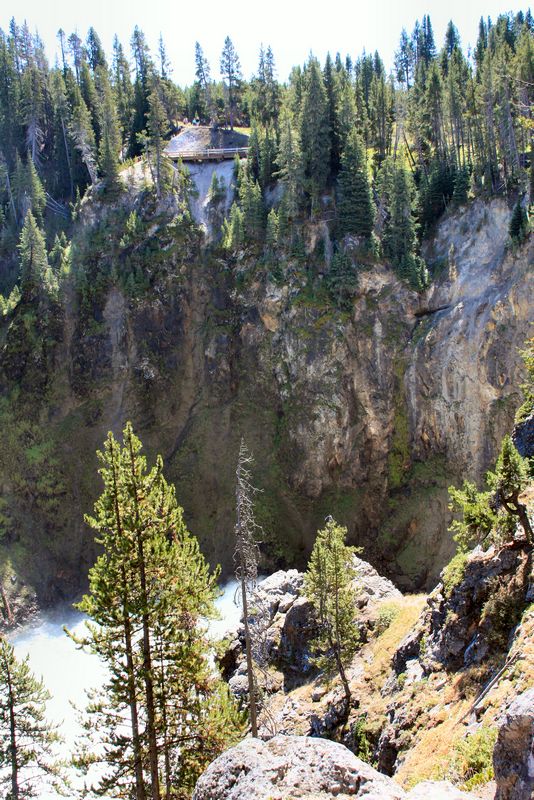 Click to see next picture