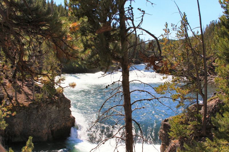 Click to see next picture