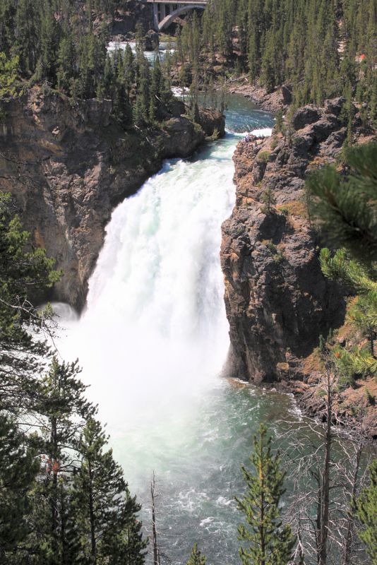 Click to see next picture