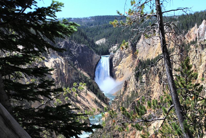 Click to see next picture