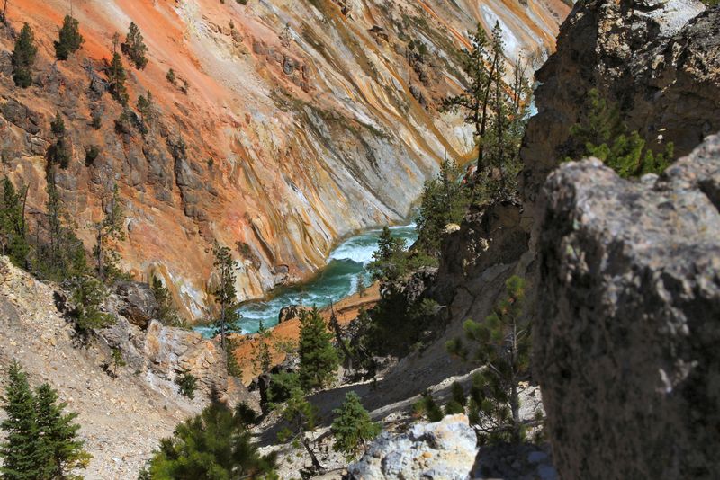 Click to see next picture