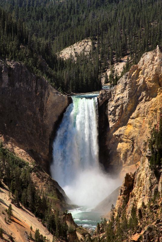 Click to see next picture