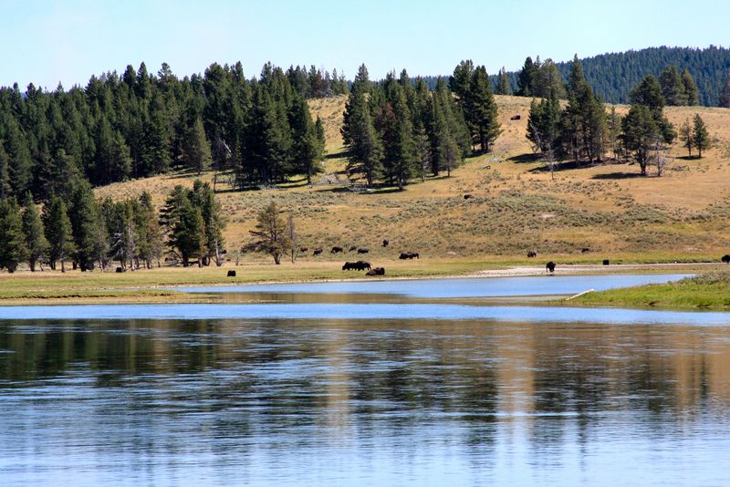 Click to see next picture