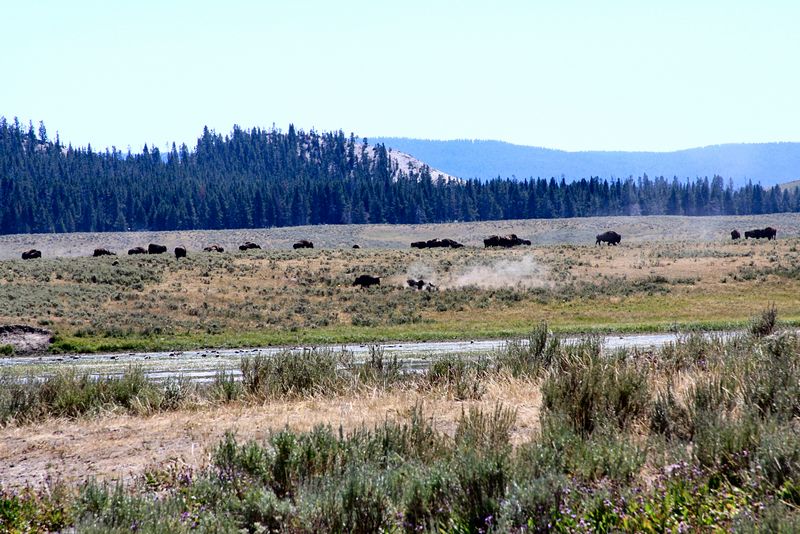 Click to see next picture