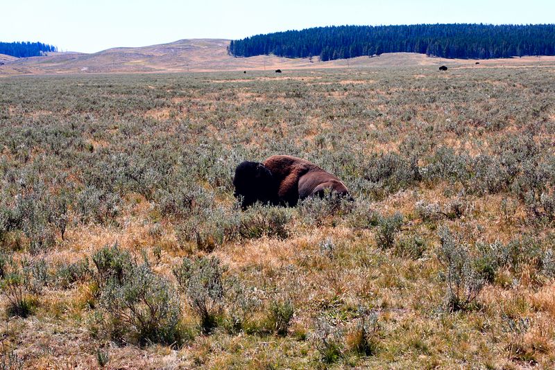 Click to see next picture