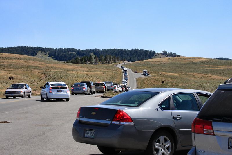 Click to see next picture