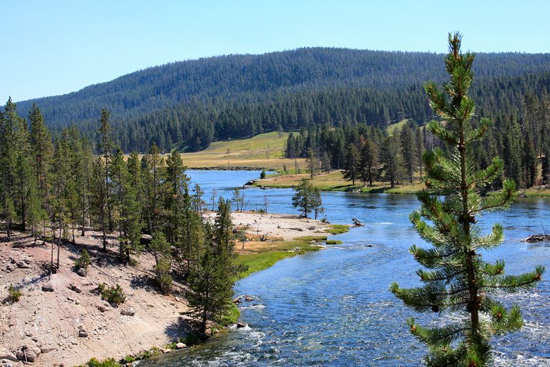 Click to see next picture