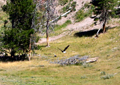 Click to see next picture