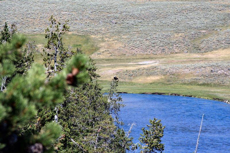 Click to see next picture