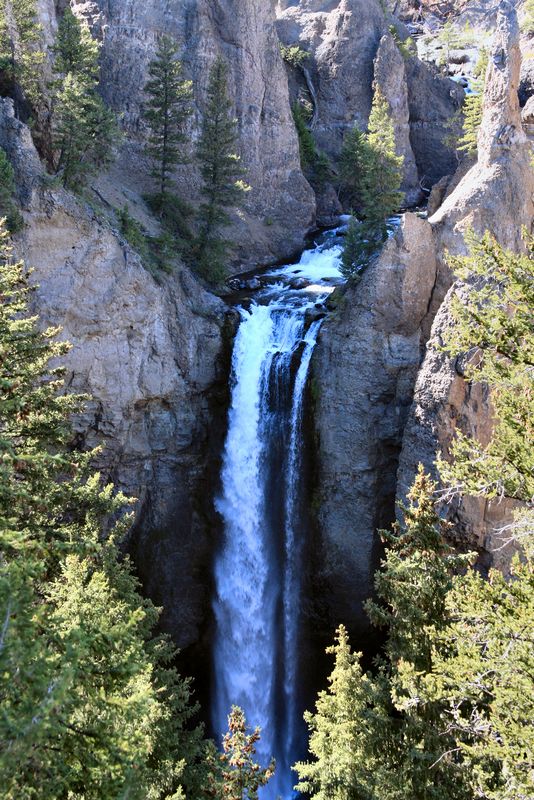 Click to see next picture