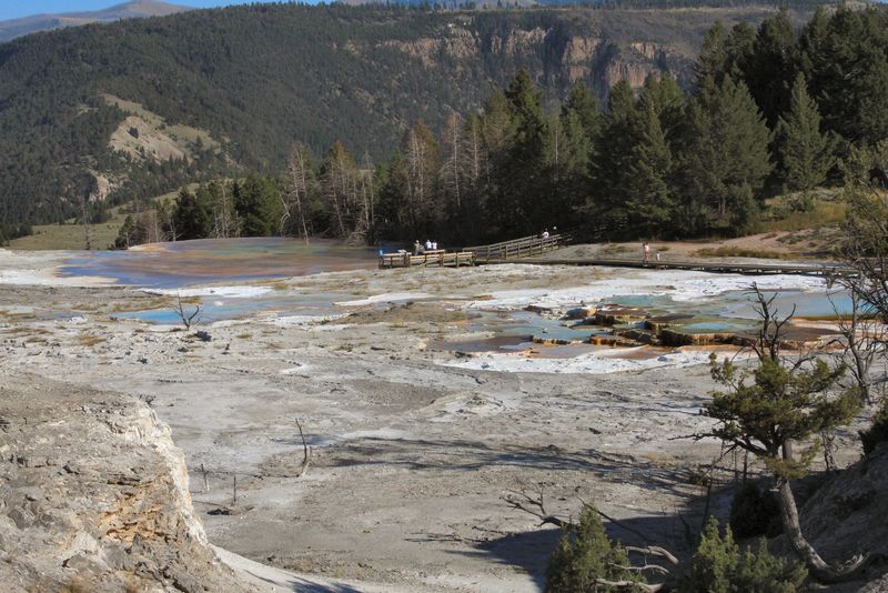 Click to see next picture