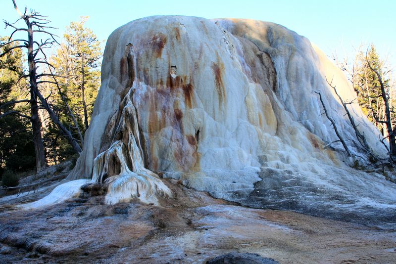 Click to see next picture