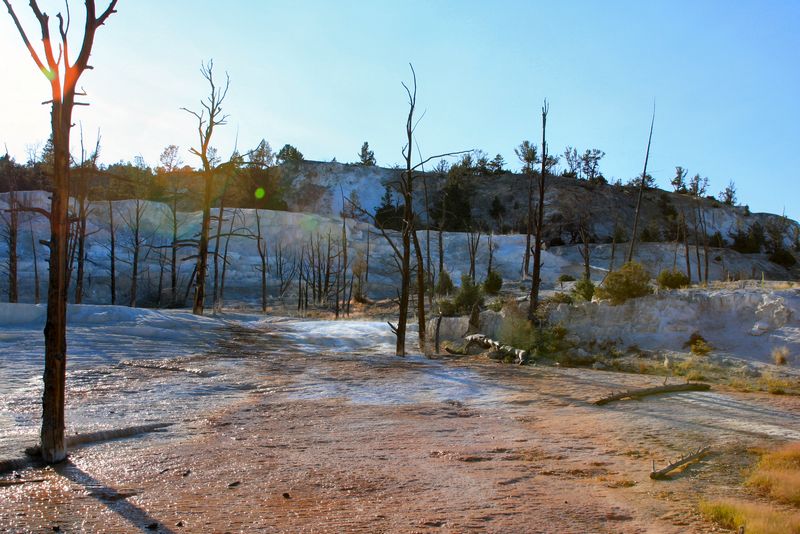 Click to see thumbs page