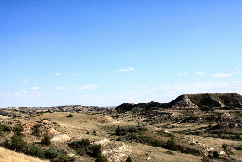 Click to see next picture