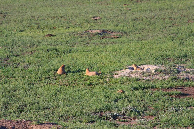 Click to see next picture