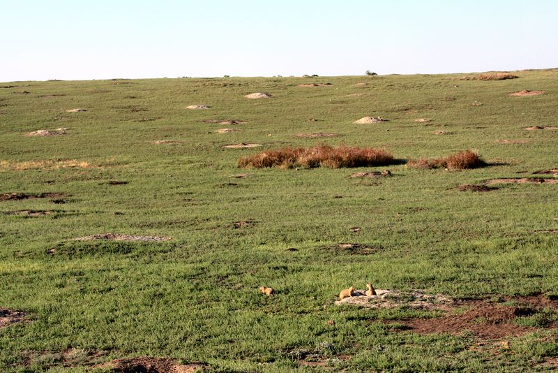 Click to see next picture