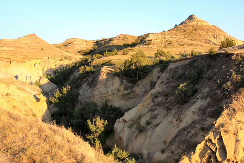 Click to see next picture