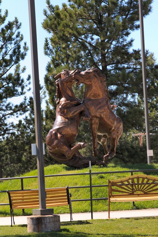 Click to see next picture