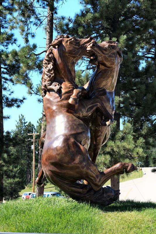 Click to see next picture