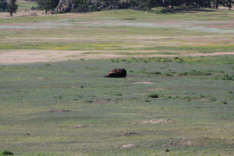 Click to see next picture