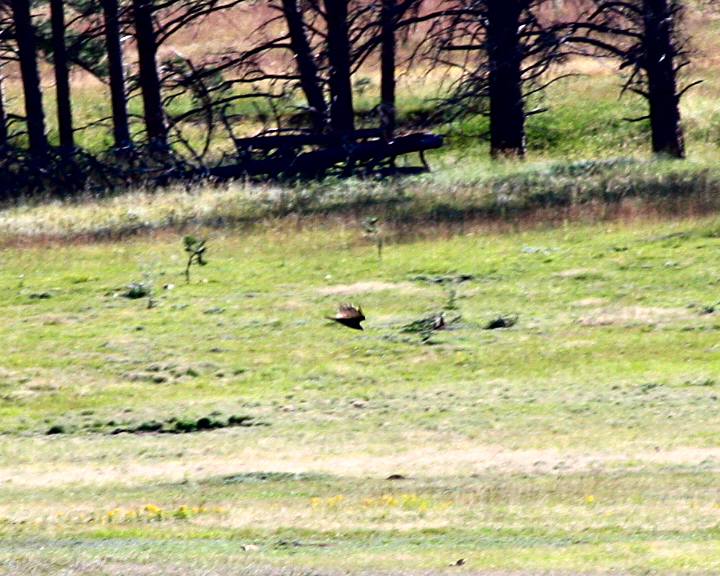 Click to see next picture