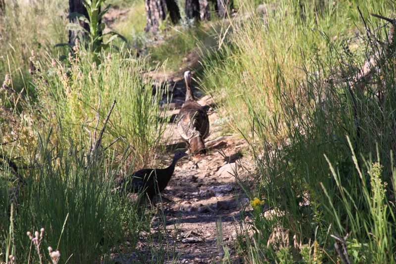 Click to see next picture