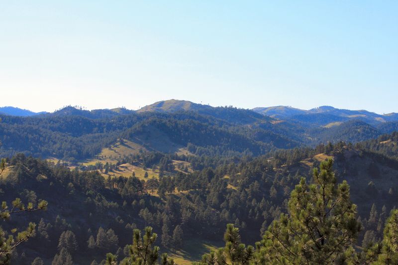 Click to see next picture