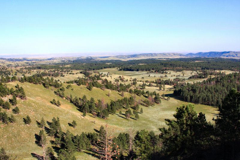 Click to see next picture