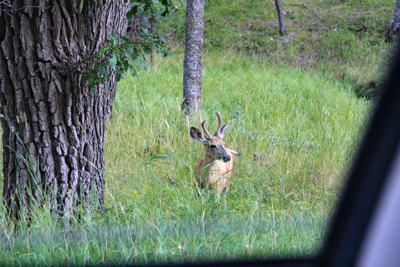 Click to see thumbs page