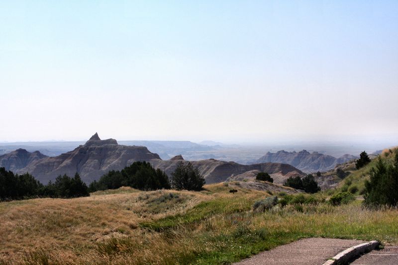 Click to see next picture