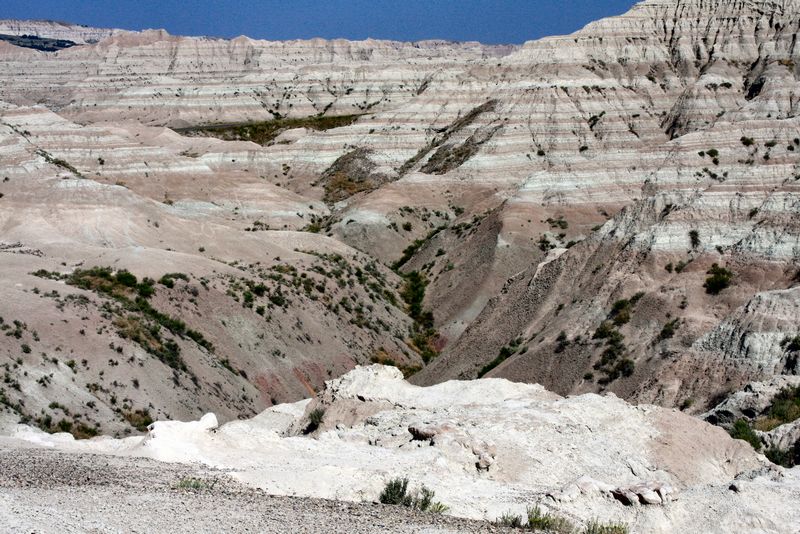 Click to see next picture