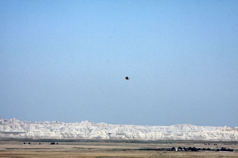 Click to see next picture