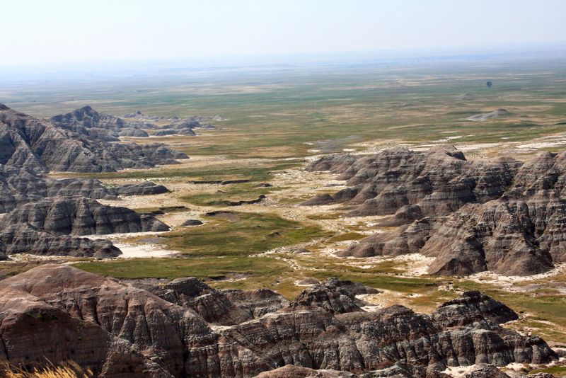 Click to see next picture