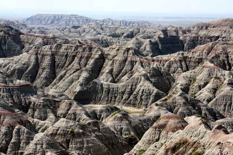 Click to see next picture