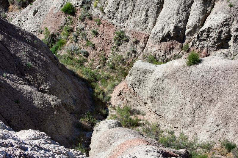 Click to see next picture