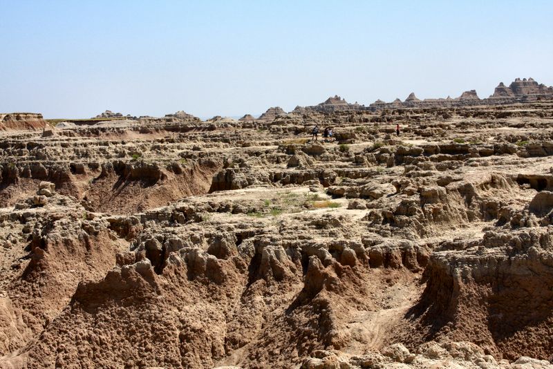 Click to see next picture