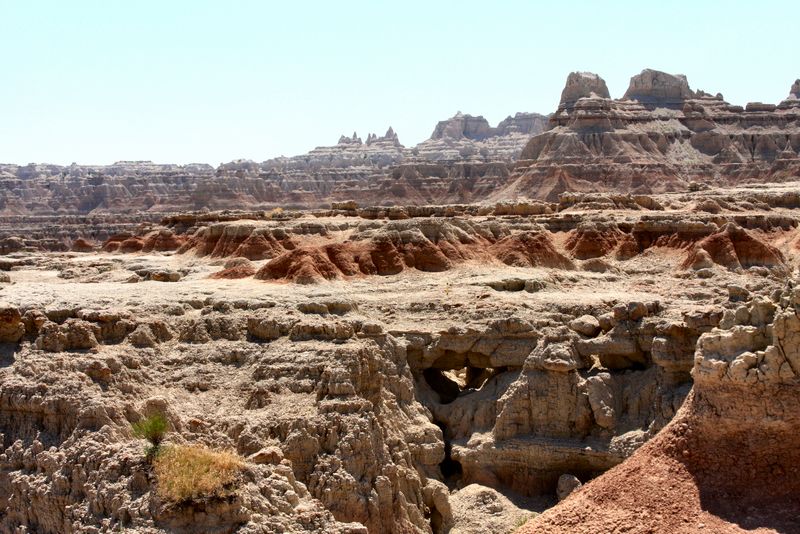 Click to see next picture