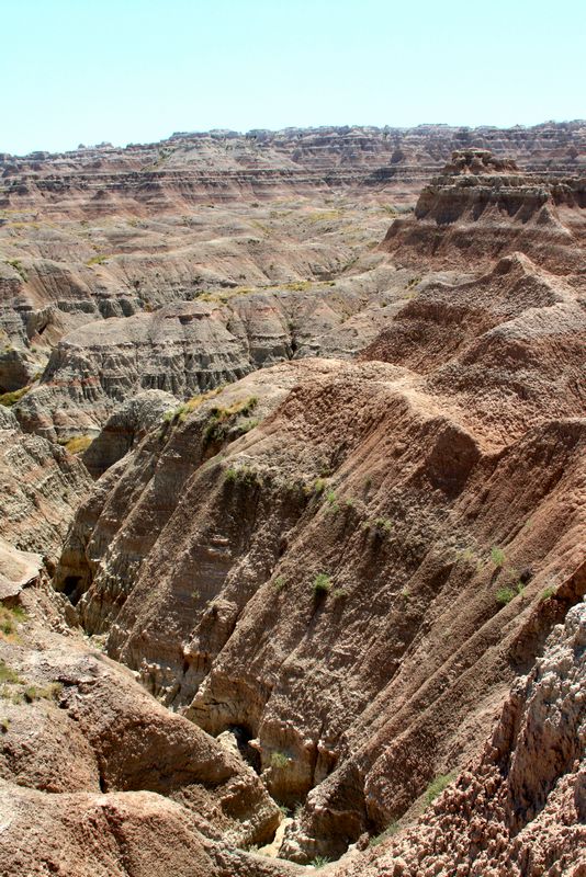 Click to see next picture