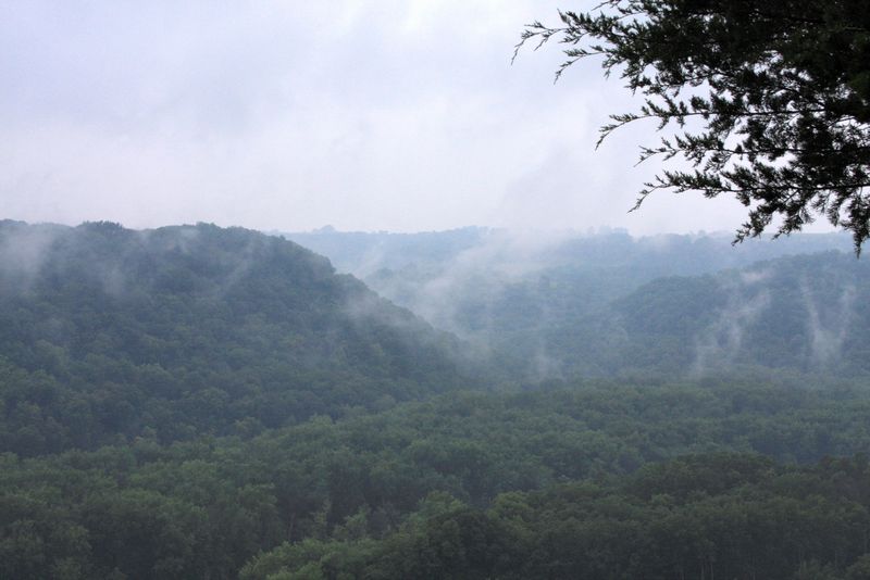 Click to see next picture